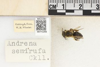 Media type: image;   Entomology 771293 Aspect: Labels